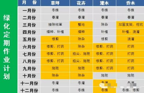 物業(yè)環(huán)境外包管控要點(diǎn) 純干貨，助力服務(wù)評(píng)估與優(yōu)化